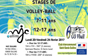 STAGE VOLLEY BALL DU 20 AU 24 FEVRIER  2017