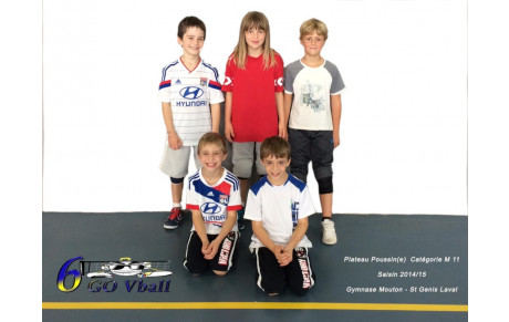 Plateau Poussin(e) à Saint Genis Laval